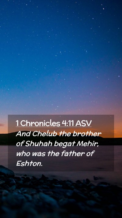 Picture 02 - 1 Chronicles 4:11 ASV Mobile Phone Wallpaper - And Chelub the brother of Shuhah begat Mehir, who - Mobile Bible Verse Wallpaper