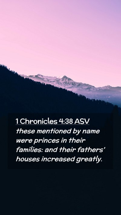 Picture 02 - 1 Chronicles 4:38 ASV Mobile Phone Wallpaper - these mentioned by name were princes in their - Mobile Bible Verse Wallpaper