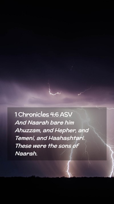 Picture 02 - 1 Chronicles 4:6 ASV Mobile Phone Wallpaper - And Naarah bare him Ahuzzam, and Hepher, and - Mobile Bible Verse Wallpaper