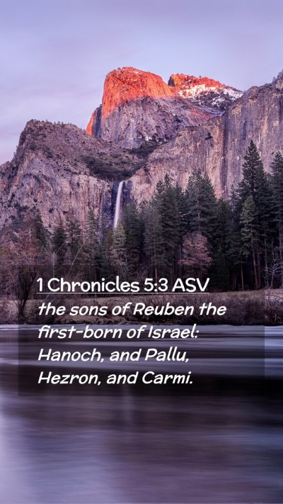 Picture 02 - 1 Chronicles 5:3 ASV Mobile Phone Wallpaper - the sons of Reuben the first-born of Israel: - Mobile Bible Verse Wallpaper