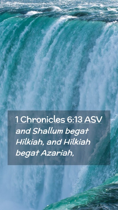 Picture 02 - 1 Chronicles 6:13 ASV Mobile Phone Wallpaper - and Shallum begat Hilkiah, and Hilkiah begat - Mobile Bible Verse Wallpaper