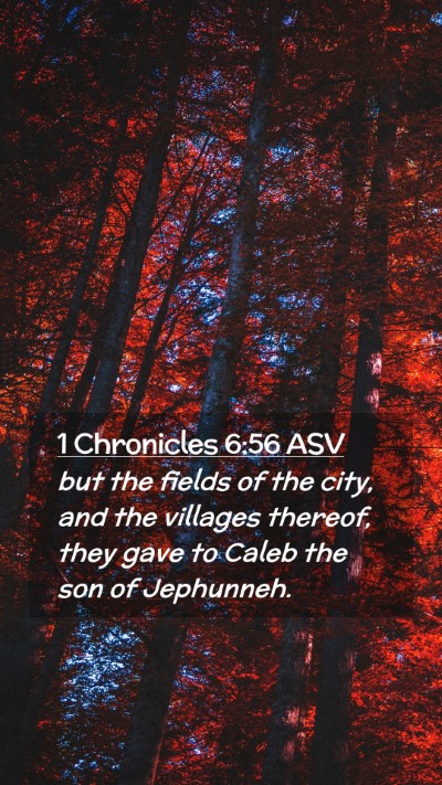 Picture 02 - 1 Chronicles 6:56 ASV Mobile Phone Wallpaper - but the fields of the city, and the villages - Mobile Bible Verse Wallpaper