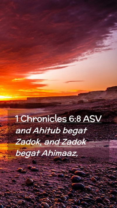 Picture 02 - 1 Chronicles 6:8 ASV Mobile Phone Wallpaper - and Ahitub begat Zadok, and Zadok begat - Mobile Bible Verse Wallpaper