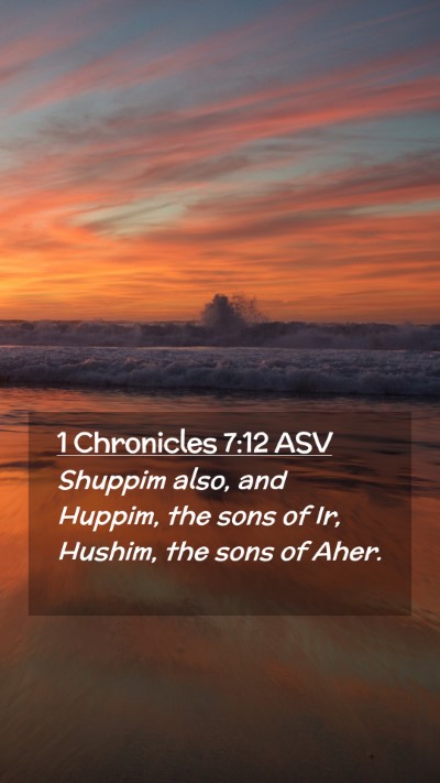 Picture 02 - 1 Chronicles 7:12 ASV Mobile Phone Wallpaper - Shuppim also, and Huppim, the sons of Ir, Hushim, - Mobile Bible Verse Wallpaper