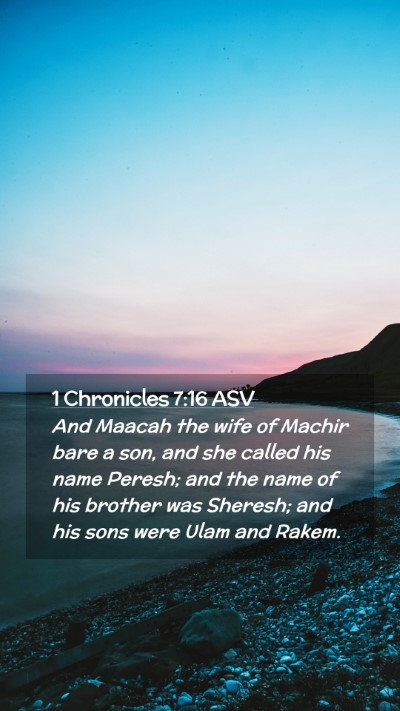 Picture 02 - 1 Chronicles 7:16 ASV Mobile Phone Wallpaper - And Maacah the wife of Machir bare a son, and she - Mobile Bible Verse Wallpaper