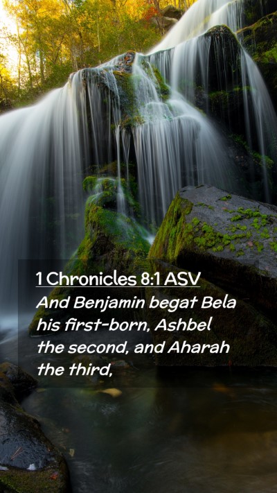 Picture 02 - 1 Chronicles 8:1 ASV Mobile Phone Wallpaper - And Benjamin begat Bela his first-born, Ashbel - Mobile Bible Verse Wallpaper