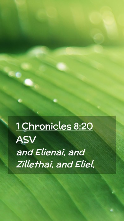 Picture 02 - 1 Chronicles 8:20 ASV Mobile Phone Wallpaper - and Elienai, and Zillethai, and - Mobile Bible Verse Wallpaper