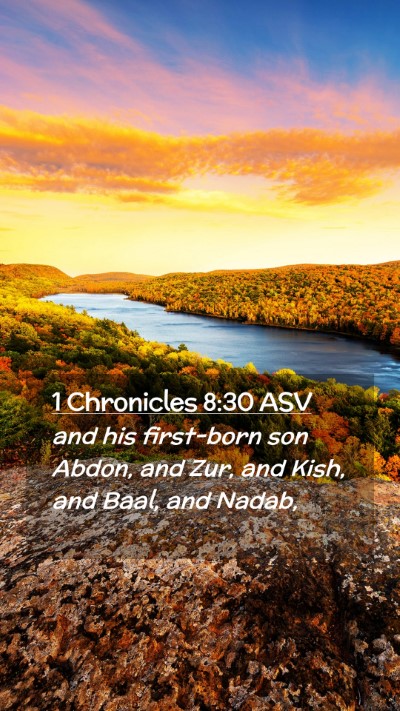 Picture 02 - 1 Chronicles 8:30 ASV Mobile Phone Wallpaper - and his first-born son Abdon, and Zur, and Kish, - Mobile Bible Verse Wallpaper