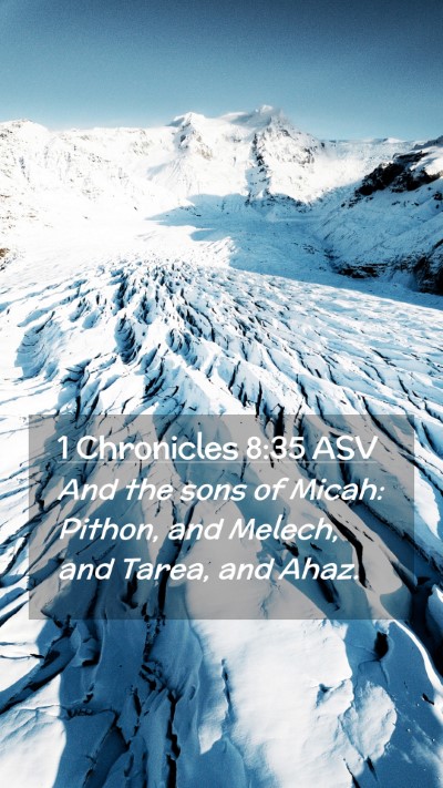 Picture 02 - 1 Chronicles 8:35 ASV Mobile Phone Wallpaper - And the sons of Micah: Pithon, and Melech, and - Mobile Bible Verse Wallpaper