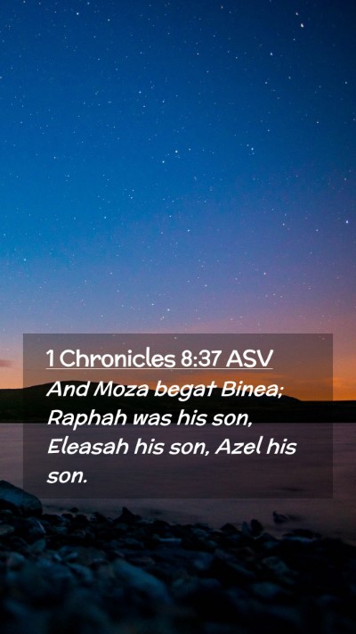 Picture 02 - 1 Chronicles 8:37 ASV Mobile Phone Wallpaper - And Moza begat Binea; Raphah was his son, Eleasah - Mobile Bible Verse Wallpaper