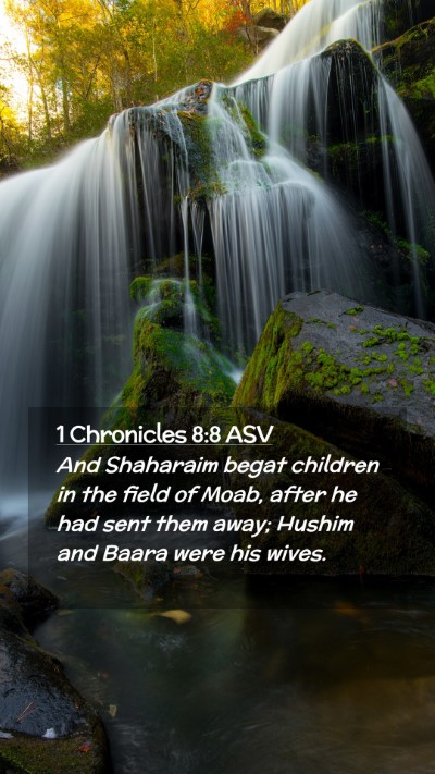 Picture 02 - 1 Chronicles 8:8 ASV Mobile Phone Wallpaper - And Shaharaim begat children in the field of - Mobile Bible Verse Wallpaper