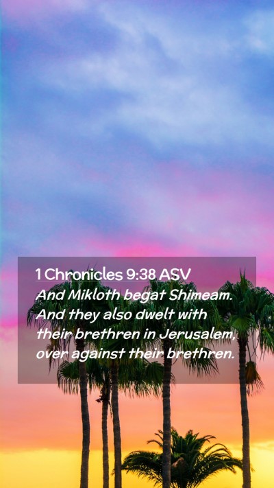 Picture 02 - 1 Chronicles 9:38 ASV Mobile Phone Wallpaper - And Mikloth begat Shimeam. And they also dwelt - Mobile Bible Verse Wallpaper