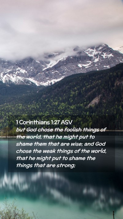 Picture 02 - 1 Corinthians 1:27 ASV Mobile Phone Wallpaper - but God chose the foolish things of the world, - Mobile Bible Verse Wallpaper