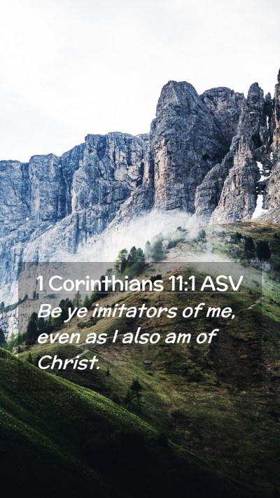 Picture 02 - 1 Corinthians 11:1 ASV Mobile Phone Wallpaper - Be ye imitators of me, even as I also am of - Mobile Bible Verse Wallpaper