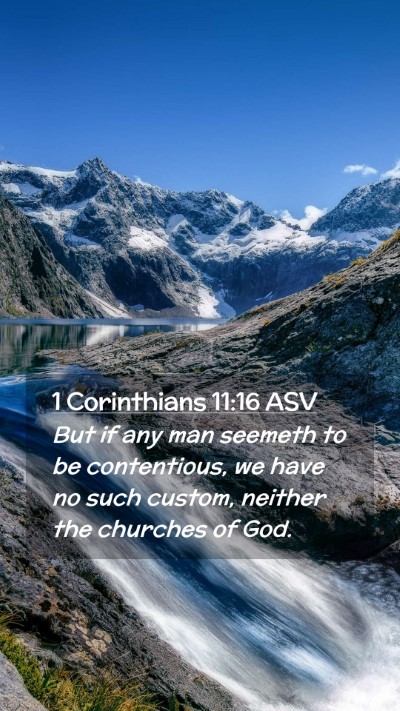 Picture 02 - 1 Corinthians 11:16 ASV Mobile Phone Wallpaper - But if any man seemeth to be contentious, we have - Mobile Bible Verse Wallpaper