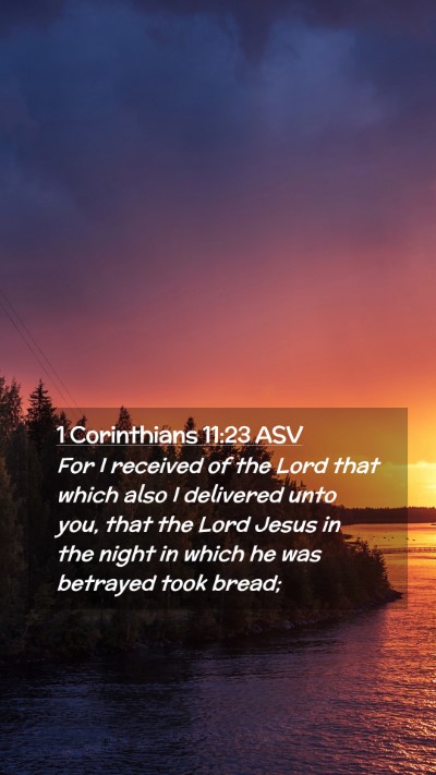Picture 02 - 1 Corinthians 11:23 ASV Mobile Phone Wallpaper - For I received of the Lord that which also I - Mobile Bible Verse Wallpaper