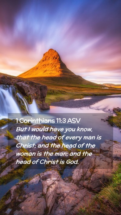 Picture 02 - 1 Corinthians 11:3 ASV Mobile Phone Wallpaper - But I would have you know, that the head of every - Mobile Bible Verse Wallpaper