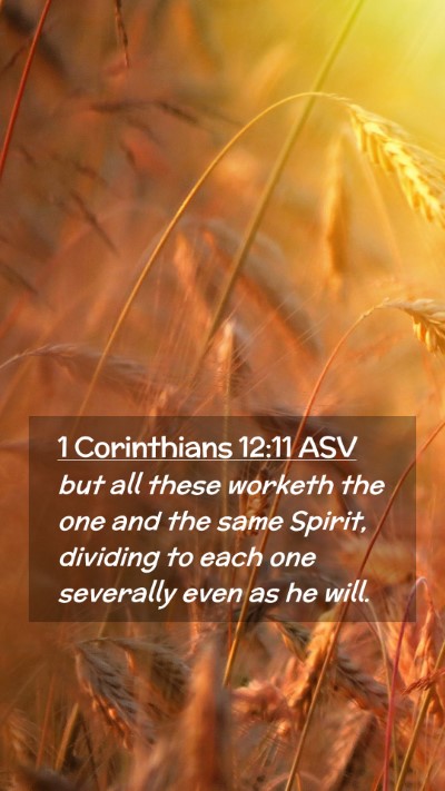 Picture 02 - 1 Corinthians 12:11 ASV Mobile Phone Wallpaper - but all these worketh the one and the same - Mobile Bible Verse Wallpaper