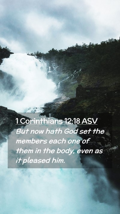 Picture 02 - 1 Corinthians 12:18 ASV Mobile Phone Wallpaper - But now hath God set the members each one of them - Mobile Bible Verse Wallpaper