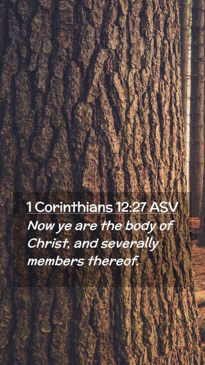 Picture 02 - 1 Corinthians 12:27 ASV Mobile Phone Wallpaper - Now ye are the body of Christ, and severally - Mobile Bible Verse Wallpaper