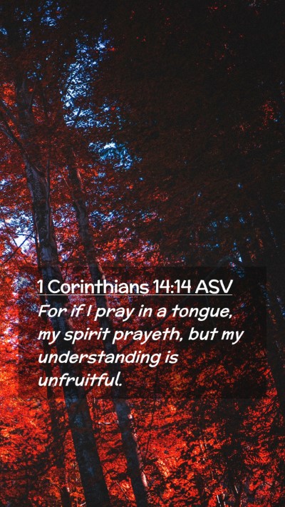 Picture 02 - 1 Corinthians 14:14 ASV Mobile Phone Wallpaper - For if I pray in a tongue, my spirit prayeth, but - Mobile Bible Verse Wallpaper