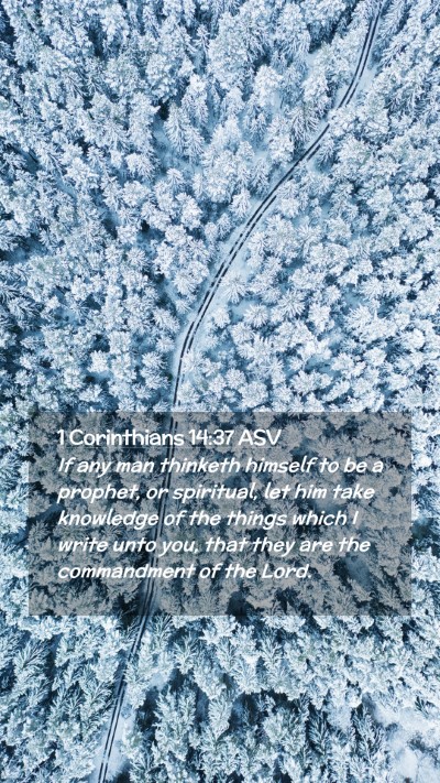 Picture 02 - 1 Corinthians 14:37 ASV Mobile Phone Wallpaper - If any man thinketh himself to be a prophet, or - Mobile Bible Verse Wallpaper