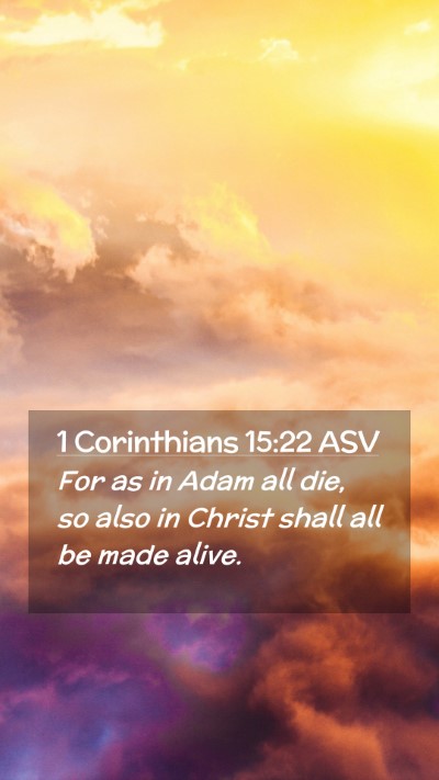 Picture 02 - 1 Corinthians 15:22 ASV Mobile Phone Wallpaper - For as in Adam all die, so also in Christ shall - Mobile Bible Verse Wallpaper