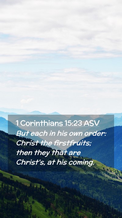Picture 02 - 1 Corinthians 15:23 ASV Mobile Phone Wallpaper - But each in his own order: Christ the - Mobile Bible Verse Wallpaper