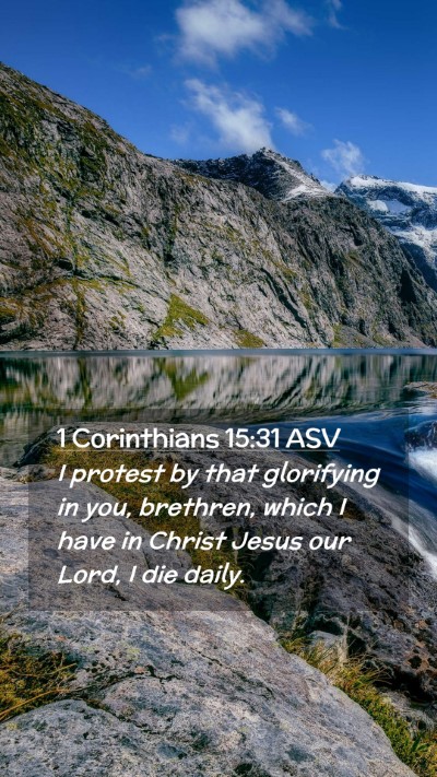 Picture 02 - 1 Corinthians 15:31 ASV Mobile Phone Wallpaper - I protest by that glorifying in you, brethren, - Mobile Bible Verse Wallpaper