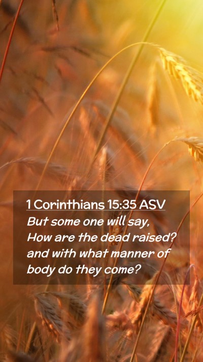 Picture 02 - 1 Corinthians 15:35 ASV Mobile Phone Wallpaper - But some one will say, How are the dead raised? - Mobile Bible Verse Wallpaper