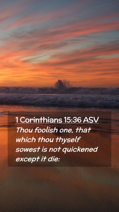 Picture 02 - 1 Corinthians 15:36 ASV Mobile Phone Wallpaper - Thou foolish one, that which thou thyself sowest - Mobile Bible Verse Wallpaper