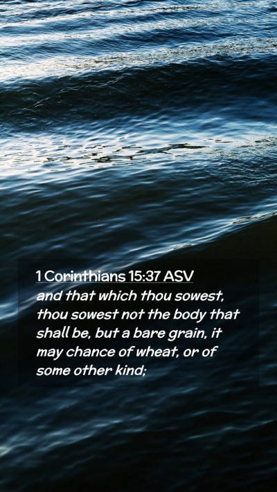 Picture 02 - 1 Corinthians 15:37 ASV Mobile Phone Wallpaper - and that which thou sowest, thou sowest not the - Mobile Bible Verse Wallpaper