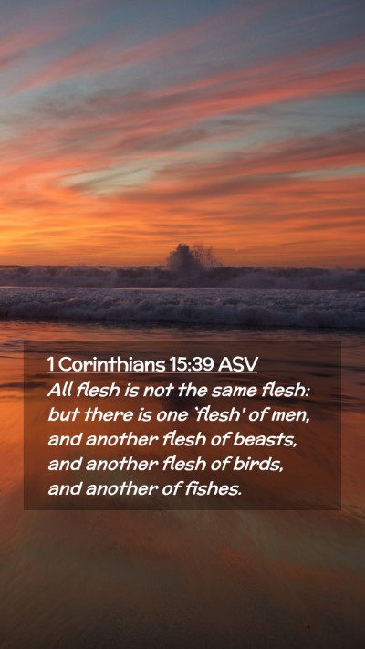 Picture 02 - 1 Corinthians 15:39 ASV Mobile Phone Wallpaper - All flesh is not the same flesh: but there is one - Mobile Bible Verse Wallpaper