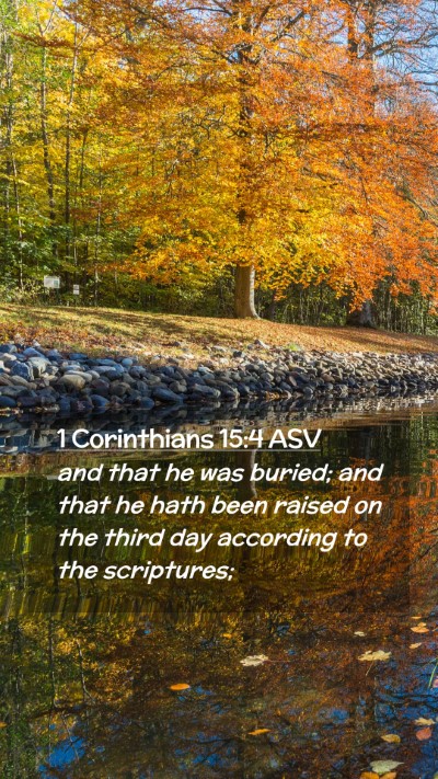 Picture 02 - 1 Corinthians 15:4 ASV Mobile Phone Wallpaper - and that he was buried; and that he hath been - Mobile Bible Verse Wallpaper