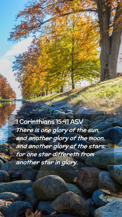 Picture 02 - 1 Corinthians 15:41 ASV Mobile Phone Wallpaper - There is one glory of the sun, and another glory - Mobile Bible Verse Wallpaper