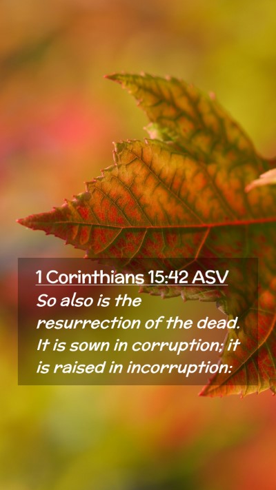 Picture 02 - 1 Corinthians 15:42 ASV Mobile Phone Wallpaper - So also is the resurrection of the dead. It is - Mobile Bible Verse Wallpaper