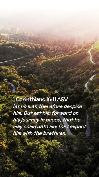 Picture 02 - 1 Corinthians 16:11 ASV Mobile Phone Wallpaper - let no man therefore despise him. But set him - Mobile Bible Verse Wallpaper