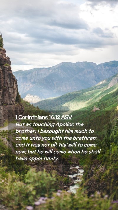 Picture 02 - 1 Corinthians 16:12 ASV Mobile Phone Wallpaper - But as touching Apollos the brother, I besought - Mobile Bible Verse Wallpaper