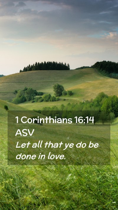 Picture 02 - 1 Corinthians 16:14 ASV Mobile Phone Wallpaper - Let all that ye do be done in - Mobile Bible Verse Wallpaper
