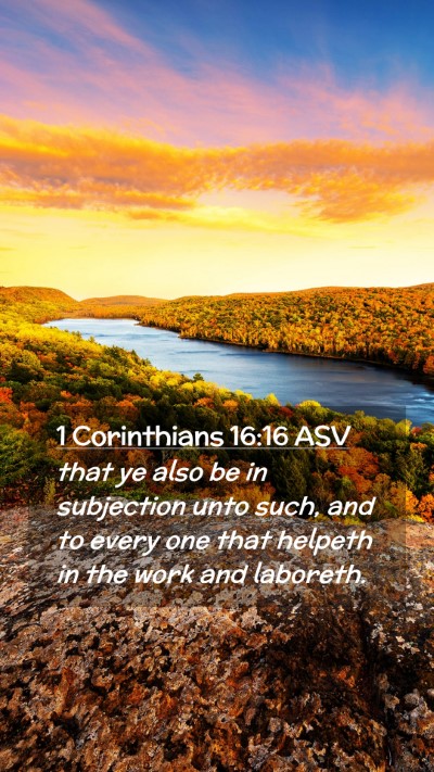 Picture 02 - 1 Corinthians 16:16 ASV Mobile Phone Wallpaper - that ye also be in subjection unto such, and to - Mobile Bible Verse Wallpaper