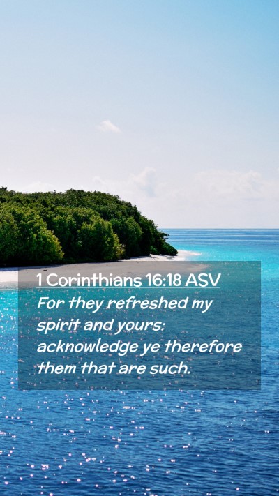 Picture 02 - 1 Corinthians 16:18 ASV Mobile Phone Wallpaper - For they refreshed my spirit and yours: - Mobile Bible Verse Wallpaper