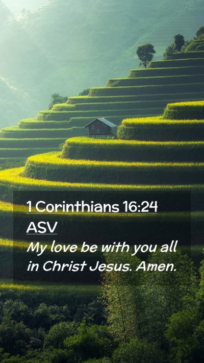 Picture 02 - 1 Corinthians 16:24 ASV Mobile Phone Wallpaper - My love be with you all in Christ Jesus. - Mobile Bible Verse Wallpaper
