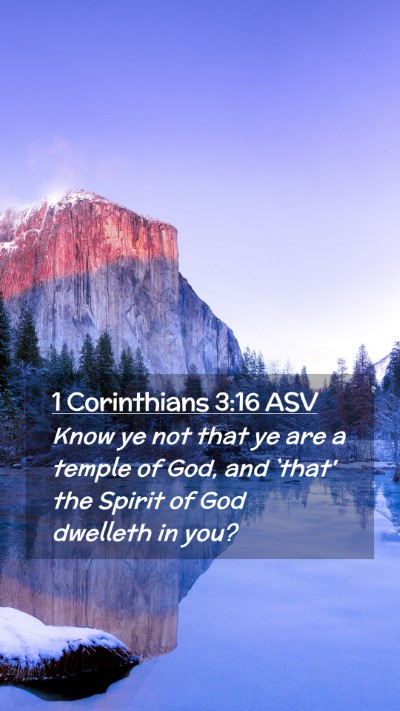 Picture 02 - 1 Corinthians 3:16 ASV Mobile Phone Wallpaper - Know ye not that ye are a temple of God, and - Mobile Bible Verse Wallpaper