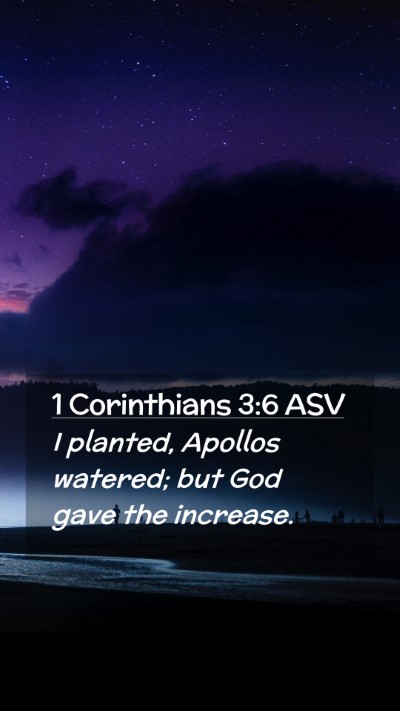 Picture 02 - 1 Corinthians 3:6 ASV Mobile Phone Wallpaper - I planted, Apollos watered; but God gave the - Mobile Bible Verse Wallpaper