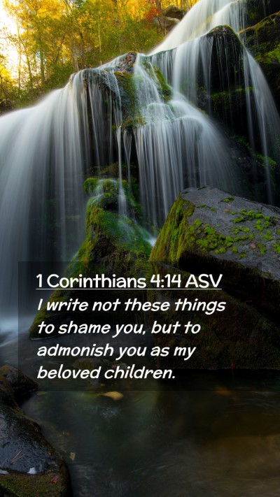 Picture 02 - 1 Corinthians 4:14 ASV Mobile Phone Wallpaper - I write not these things to shame you, but to - Mobile Bible Verse Wallpaper
