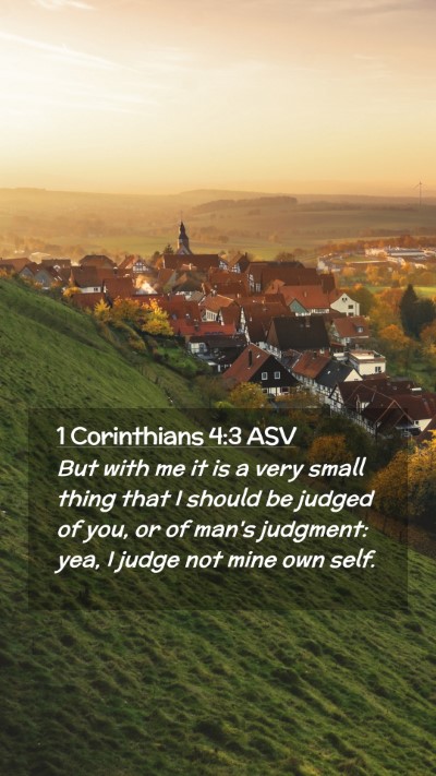 Picture 02 - 1 Corinthians 4:3 ASV Mobile Phone Wallpaper - But with me it is a very small thing that I - Mobile Bible Verse Wallpaper