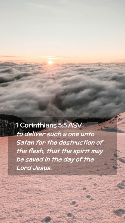 Picture 02 - 1 Corinthians 5:5 ASV Mobile Phone Wallpaper - to deliver such a one unto Satan for the - Mobile Bible Verse Wallpaper