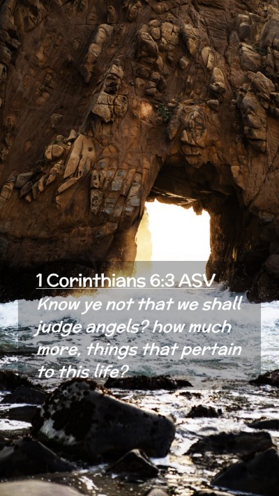 Picture 02 - 1 Corinthians 6:3 ASV Mobile Phone Wallpaper - Know ye not that we shall judge angels? how much - Mobile Bible Verse Wallpaper