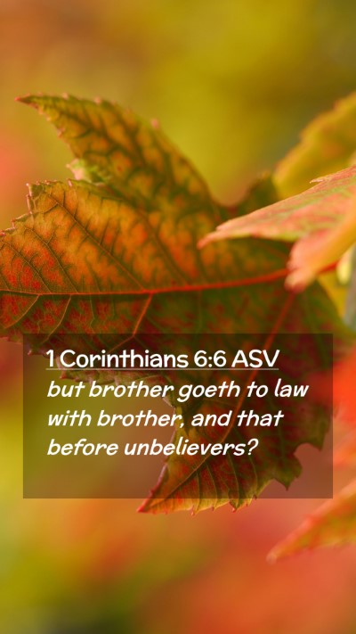Picture 02 - 1 Corinthians 6:6 ASV Mobile Phone Wallpaper - but brother goeth to law with brother, and that - Mobile Bible Verse Wallpaper