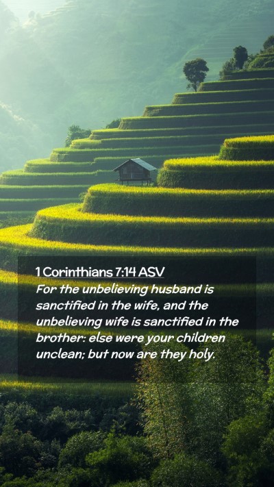 Picture 02 - 1 Corinthians 7:14 ASV Mobile Phone Wallpaper - For the unbelieving husband is sanctified in the - Mobile Bible Verse Wallpaper